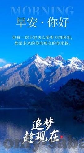 足球每天比分-足球每天比分，绿茵场上的数字交响曲